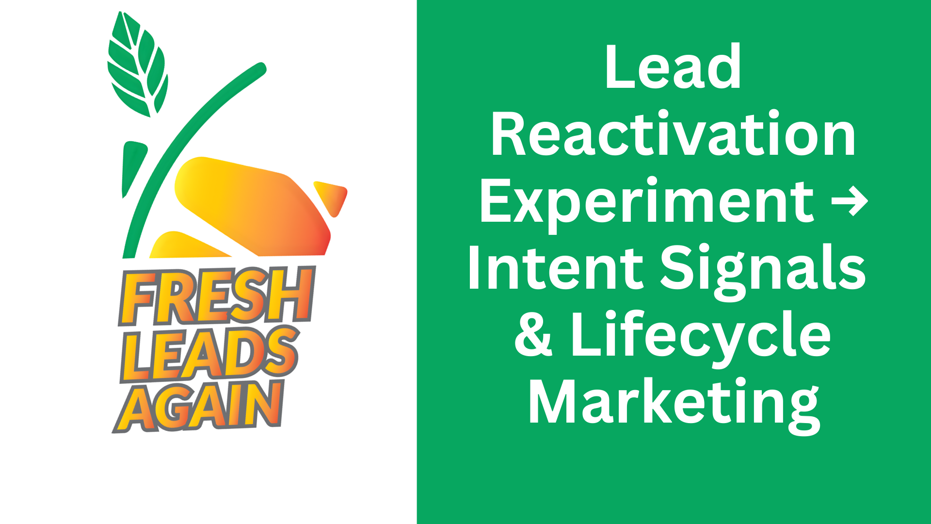 Fresh Leads Again